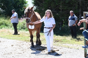 Les Estables, dernier concours des chevaux lourds avant la finale départementale