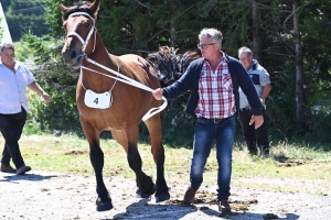 Les Estables, dernier concours des chevaux lourds avant la finale départementale