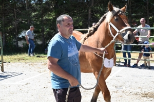 Les Estables, dernier concours des chevaux lourds avant la finale départementale