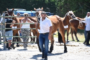 Les Estables, dernier concours des chevaux lourds avant la finale départementale