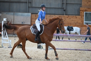 Yssingeaux : le concours de sauts d&#039;obstacles est lancé pour trois jours