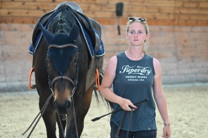 Yssingeaux : le concours de sauts d&#039;obstacles est lancé pour trois jours