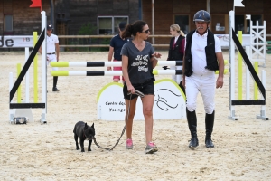 Yssingeaux : le concours de sauts d&#039;obstacles est lancé pour trois jours