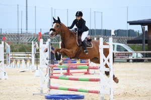 Yssingeaux : le concours de sauts d&#039;obstacles est lancé pour trois jours