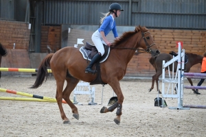 Yssingeaux : le concours de sauts d&#039;obstacles est lancé pour trois jours