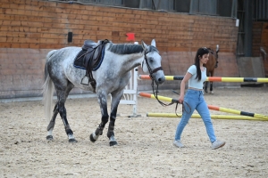 Yssingeaux : le concours de sauts d&#039;obstacles est lancé pour trois jours