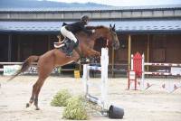 Equitation : Jean Xhémal remporte le Grand Prix d&#039;Yssingeaux en sauts d&#039;obstacles