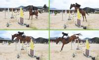 Equitation : Jean Xhémal remporte le Grand Prix d&#039;Yssingeaux en sauts d&#039;obstacles