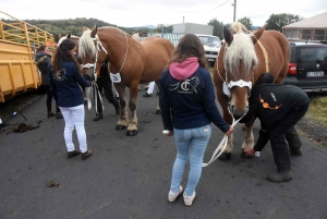 L&#039;élevage de chevaux lourds mis en valeur au Monastier-sur-Gazeille