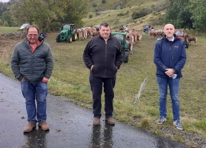 L&#039;élevage de chevaux lourds mis en valeur au Monastier-sur-Gazeille