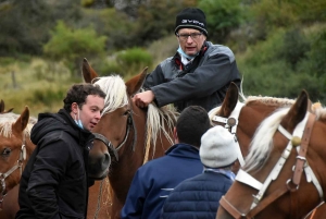 L&#039;élevage de chevaux lourds mis en valeur au Monastier-sur-Gazeille