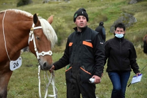 L&#039;élevage de chevaux lourds mis en valeur au Monastier-sur-Gazeille