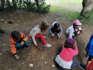 Un rallye-photos dans le Parc de Maubourg pour les écoliers de Saint-Maurice-de-Lignon