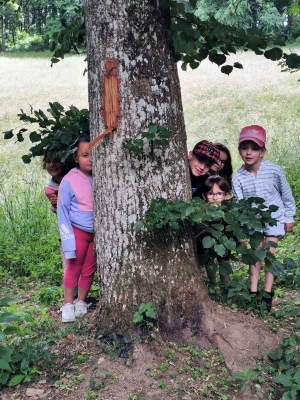 Un rallye-photos dans le Parc de Maubourg pour les écoliers de Saint-Maurice-de-Lignon