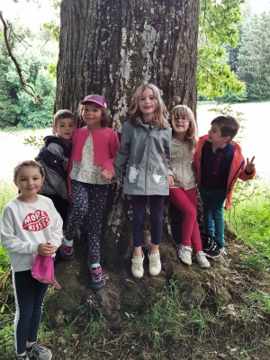 Un rallye-photos dans le Parc de Maubourg pour les écoliers de Saint-Maurice-de-Lignon