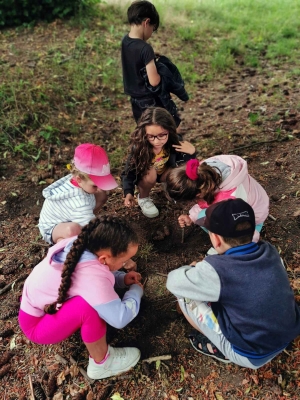 Un rallye-photos dans le Parc de Maubourg pour les écoliers de Saint-Maurice-de-Lignon