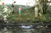 La plupart des enfants ont sorti des poissons de l&#039;eau.