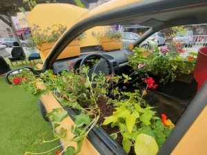 Yssingeaux : un aménagement éphémère interroge sur la place de la nature et de la voiture en ville