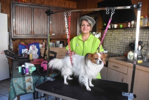 Montfaucon-en-Velay : Betty Dog propose du toilettage à domicile