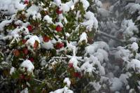 La neige vue autrement à Monistrol-sur-Loire