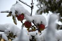 La neige vue autrement à Monistrol-sur-Loire