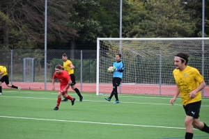 Foot, D2 : Sainte-Sigolène raccroche le bon wagon, Saint-Pal-de-Mons lanterne rouge