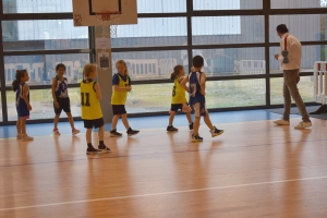 Sainte-Sigolène : c&#039;était le cirque au plateau basket U7