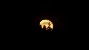 L&#039;image du jour : la dernière pleine Lune de l&#039;année