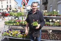 Vous pouvez même acheter des plants de pâquerettes, la mignonne fleur de Pâques !