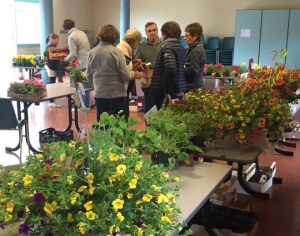 Dunières : une vente de fleurs, plants de légumes et aromatiques les 14 et 15 mai au profit d&#039;Ephata