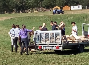 Yssingeaux : les élèves du lycée agricole s&#039;investissent aux Terres de Jim