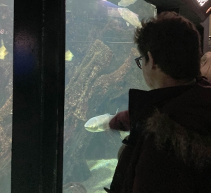 Yssingeaux : quatre lycéennes emmènent des résidents d&#039;un MAS à l&#039;aquarium