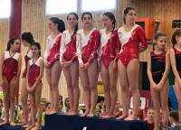 Gymnastique : quatre titres par équipe pour Yssingeaux