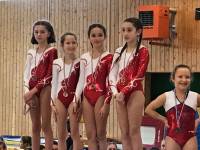 Gymnastique : quatre titres par équipe pour Yssingeaux