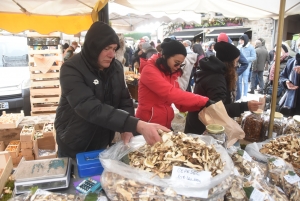 Saint-Bonnet-le-Froid : grosse poussée de champignons et de gourmandises ce week-end