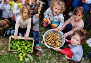 Retournac : les écoliers de Charrées récoltent ce qu&#039;ils ont semé