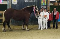 Yssingeaux : Sébastien Chambon au pied du podium au Salon de l&#039;agriculture