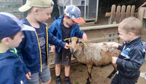 Saint-Maurice-de-Lignon : des apiculteurs en herbe à l&#039;école publique