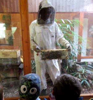 Saint-Maurice-de-Lignon : des apiculteurs en herbe à l&#039;école publique