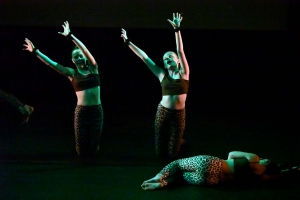 Monistrol-sur-Loire : une soirée zapping avec les élèves de l&#039;école de danse