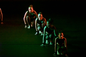 Monistrol-sur-Loire : une soirée zapping avec les élèves de l&#039;école de danse