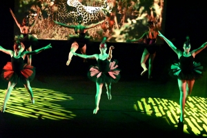 Monistrol-sur-Loire : une soirée zapping avec les élèves de l&#039;école de danse