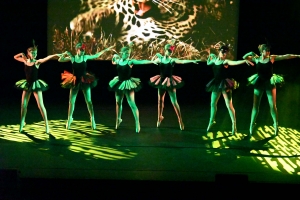 Monistrol-sur-Loire : une soirée zapping avec les élèves de l&#039;école de danse