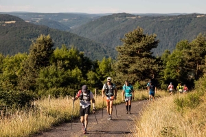 Crédit Peignée Verticale