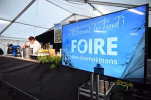 Foire aux champignons : les gastronomes ont rendez-vous ce week-end à Saint-Bonnet-le-Froid