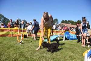 Montregard : les chiens au coeur de la journée rurale