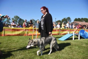 Montregard : les chiens au coeur de la journée rurale