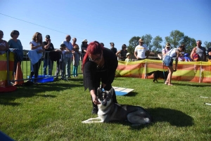 Montregard : les chiens au coeur de la journée rurale