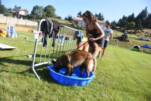 Montregard : les chiens au coeur de la journée rurale