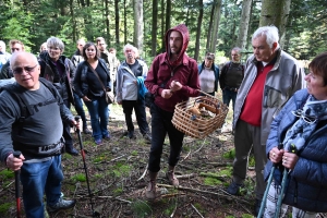 Saint-Bonnet-le-Froid : une balade épicurienne au pays du village gourmand